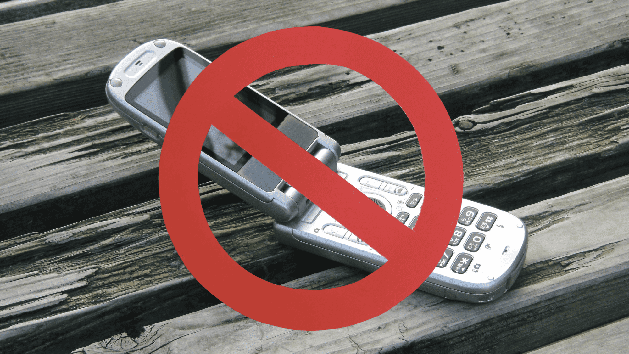 the main reasons governments ban or restrict satellite phones