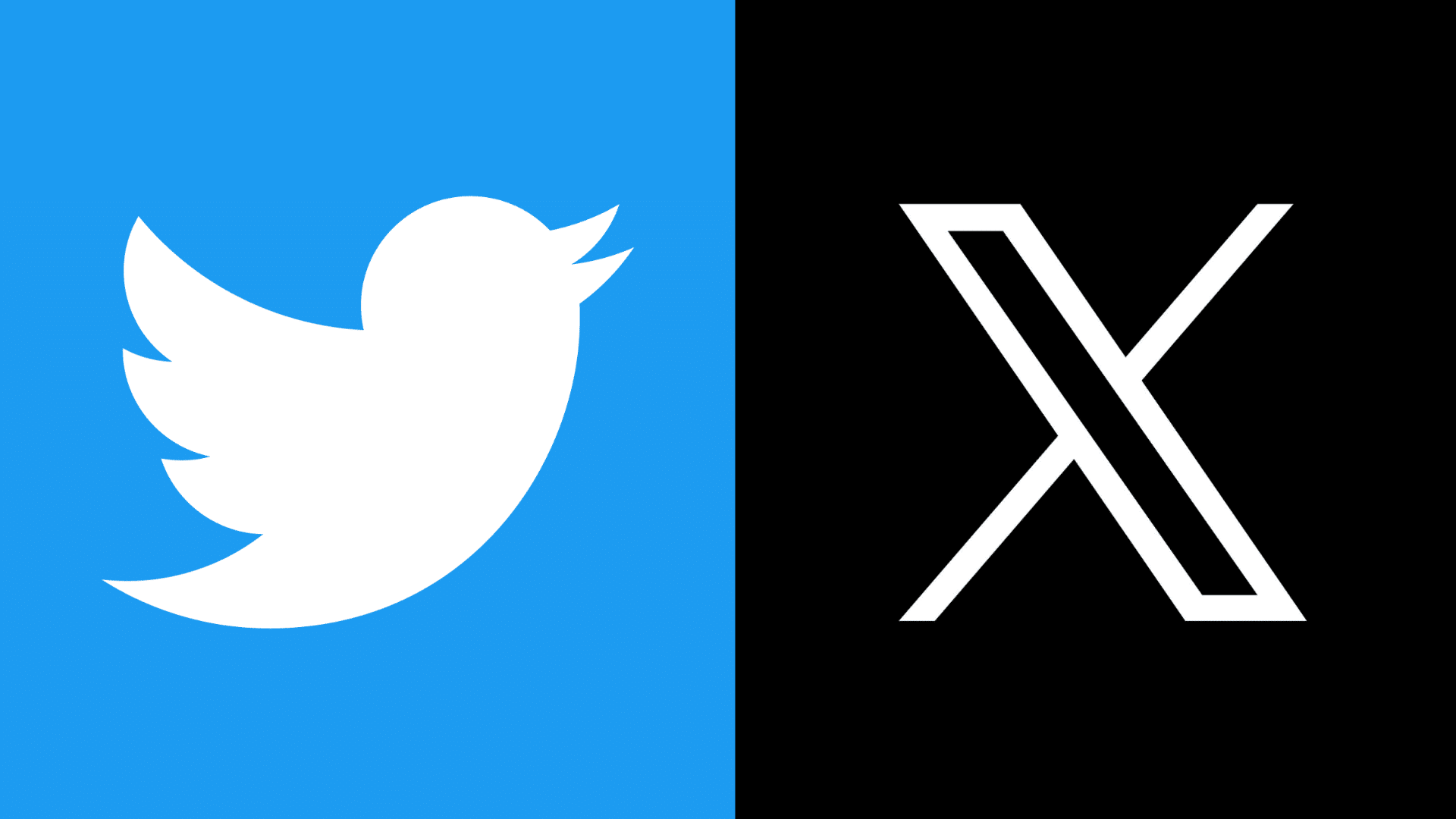 Logo representing twitter as a company that uses aws