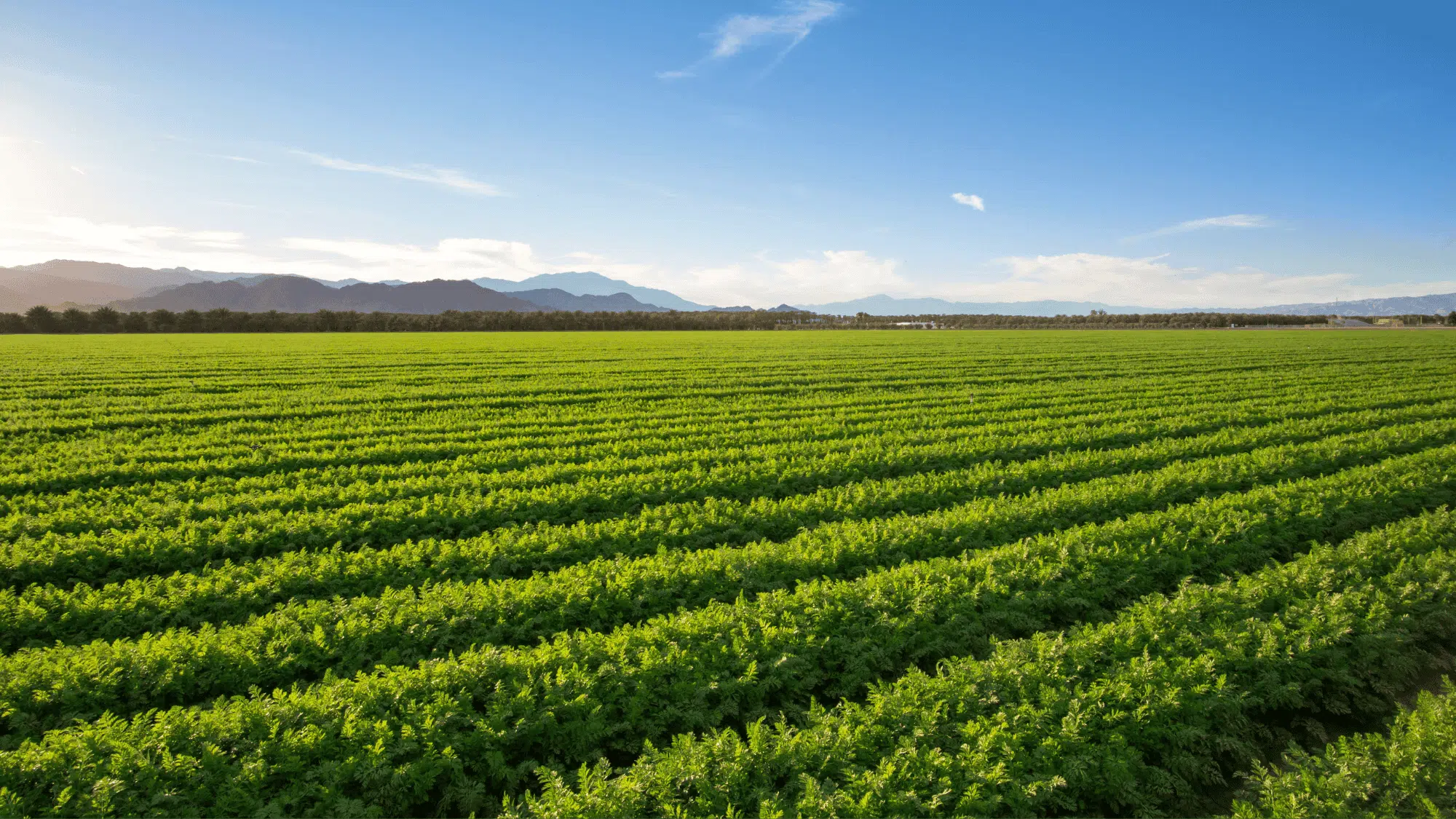 farm accounting software