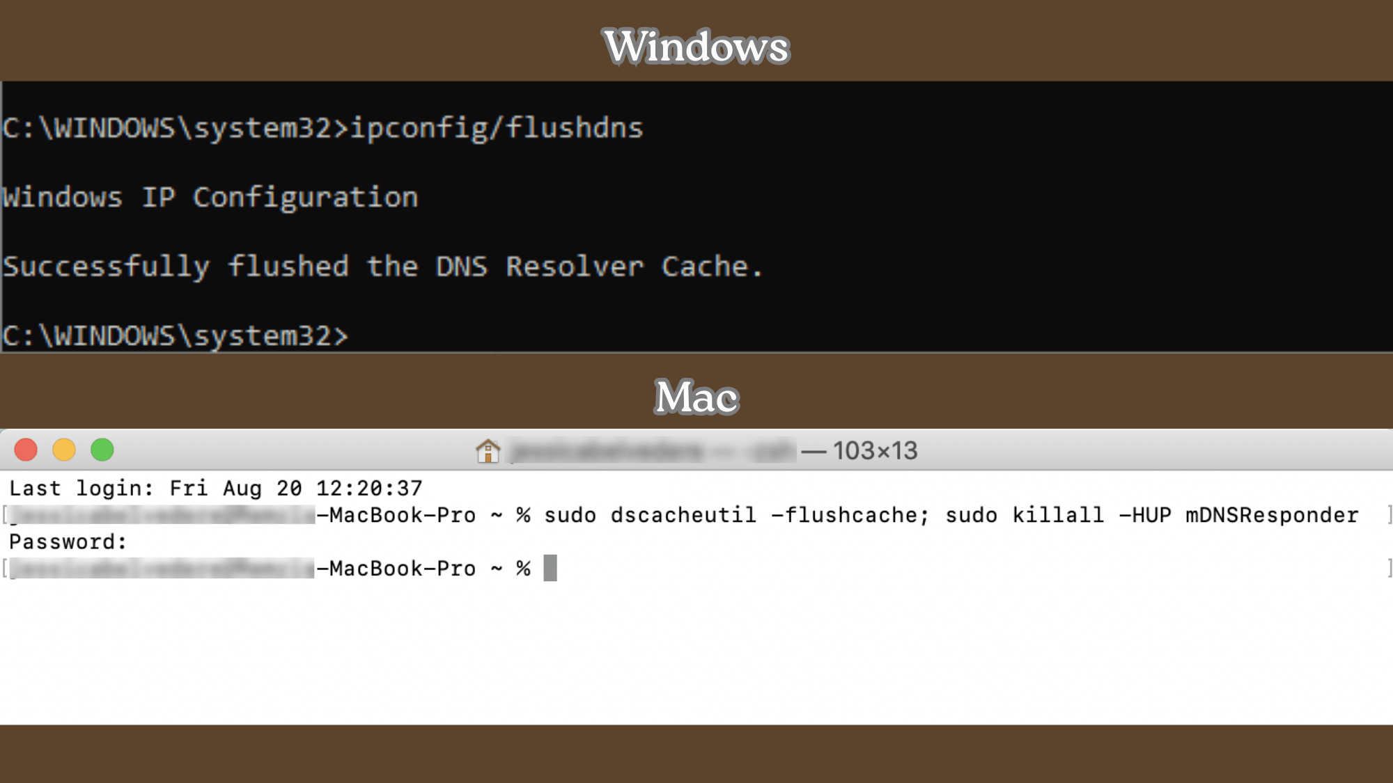 flush dns cache windows mac