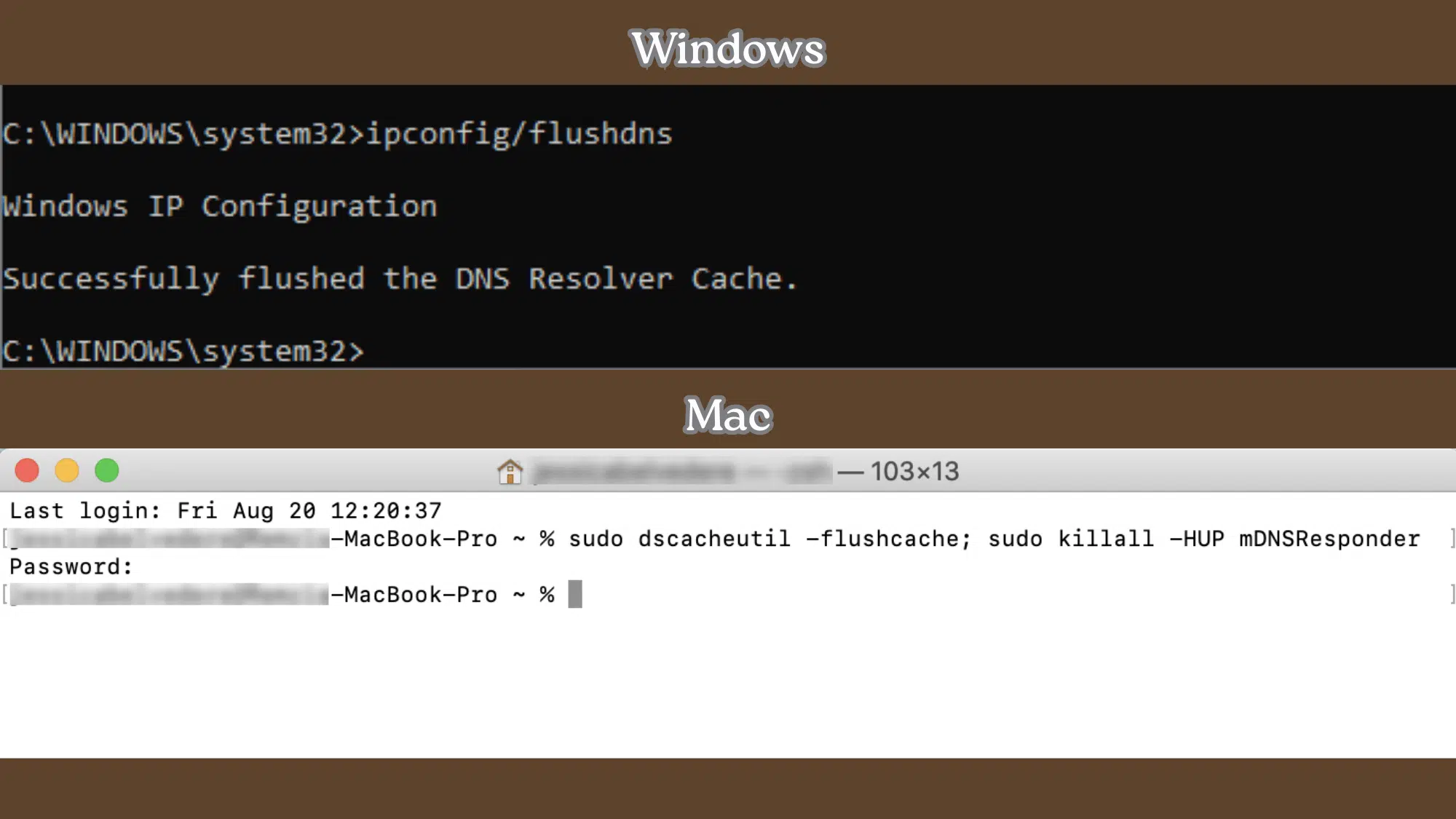 flush dns cache windows mac