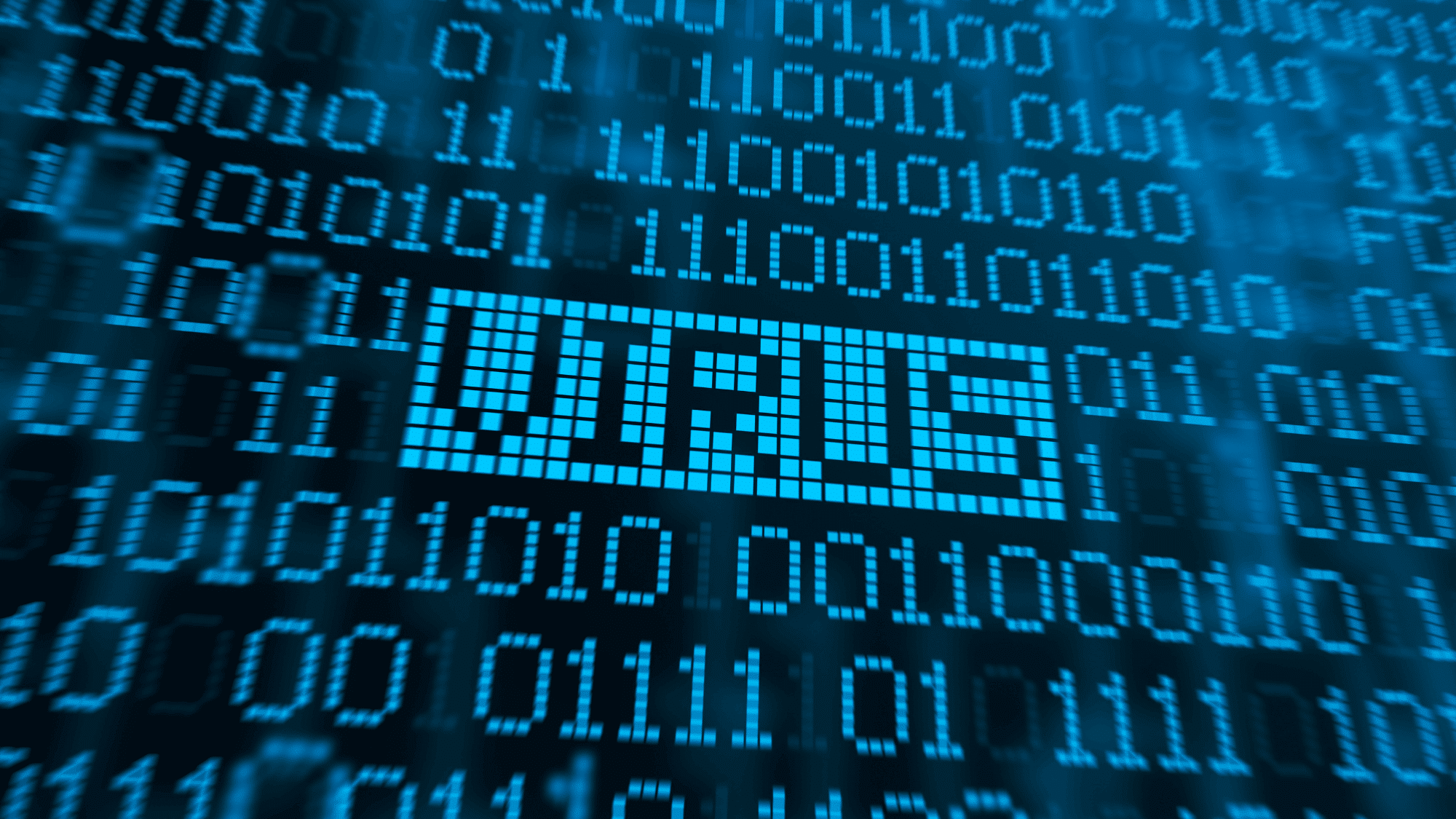 how computer viruses work