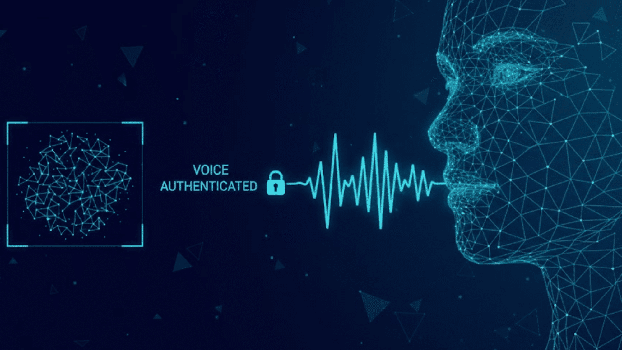 how does voice biometrics work
