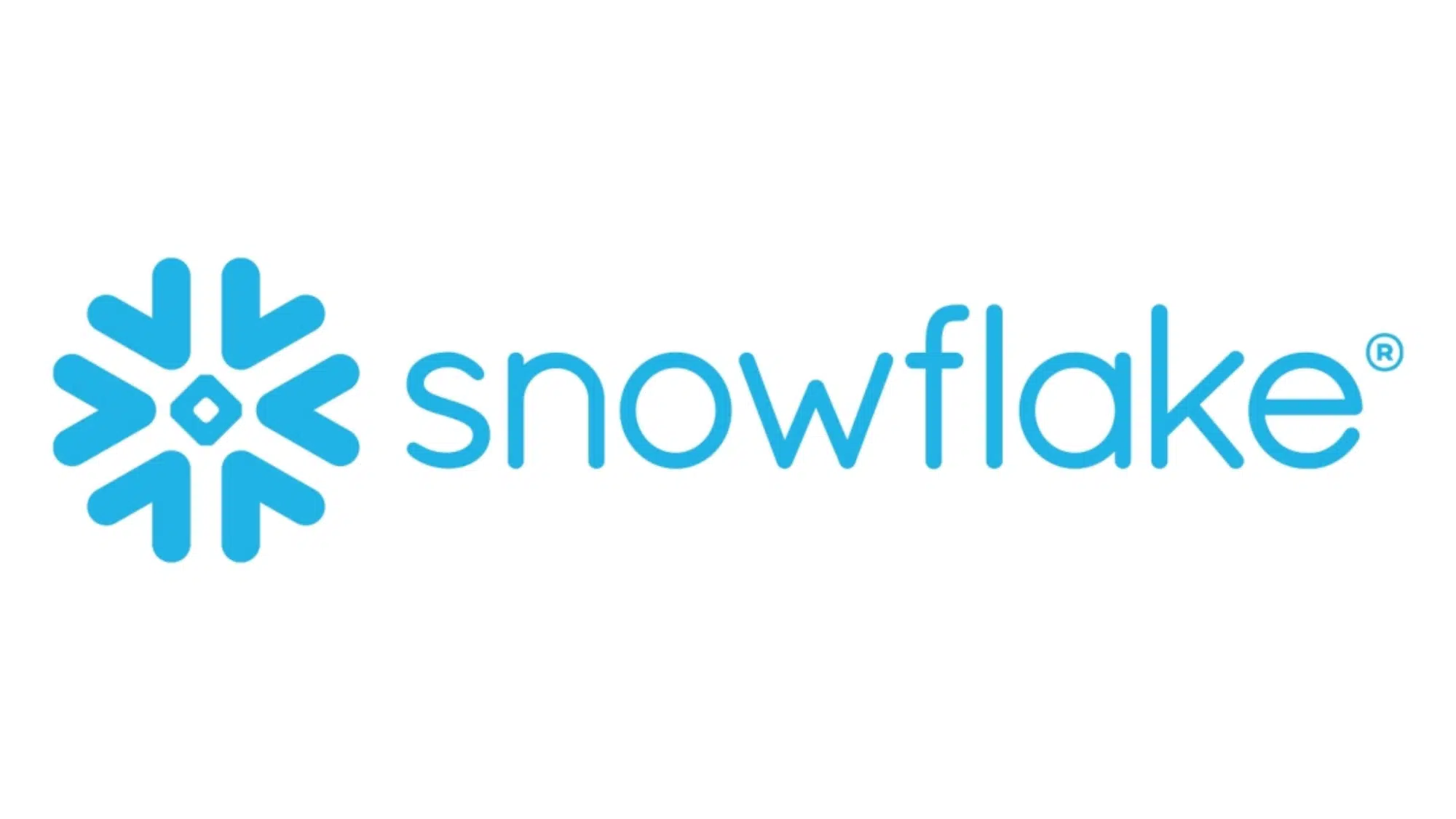 snowflake logo with a stylized blue snowflake icon on the left