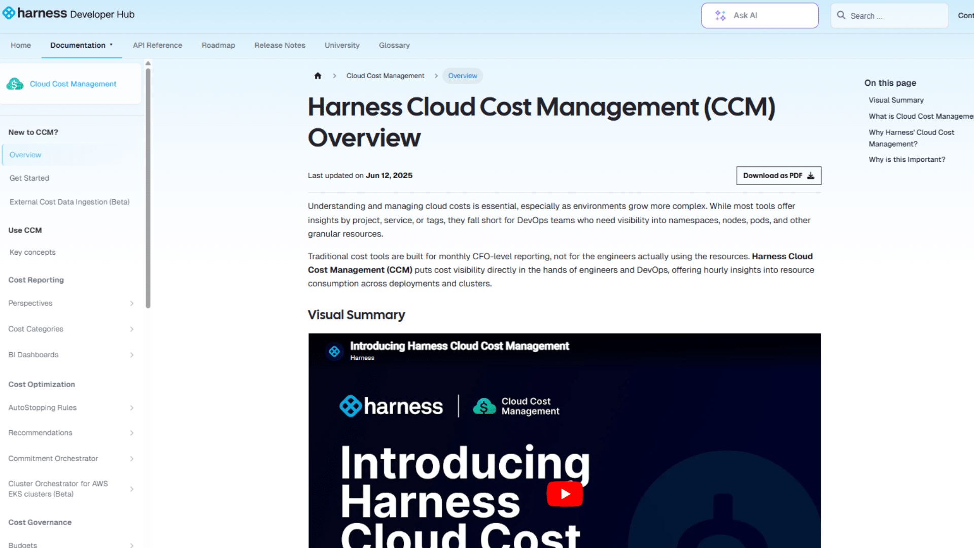 harness cloud cost management overview page with documentation menu and video summary