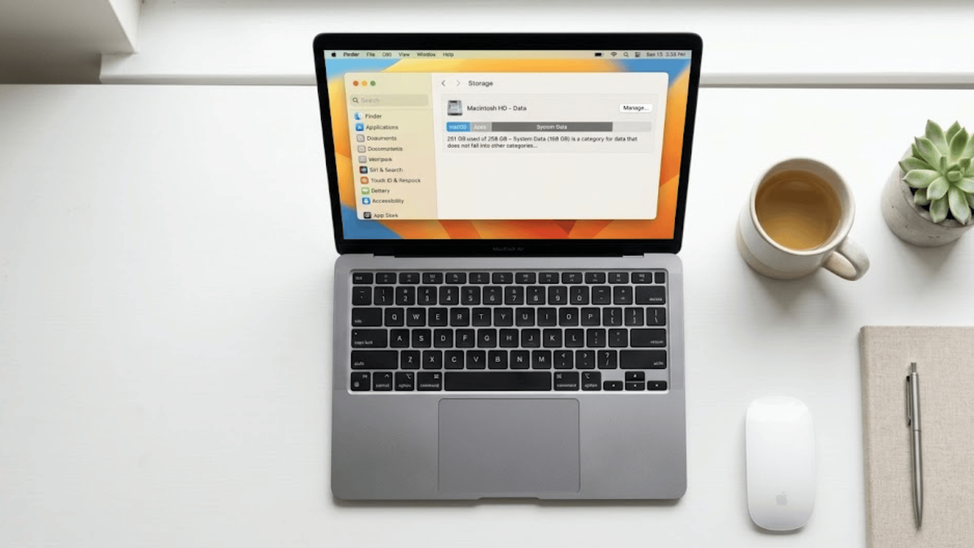 macbook showing system data taking up too much space on mac storage settings on a desk