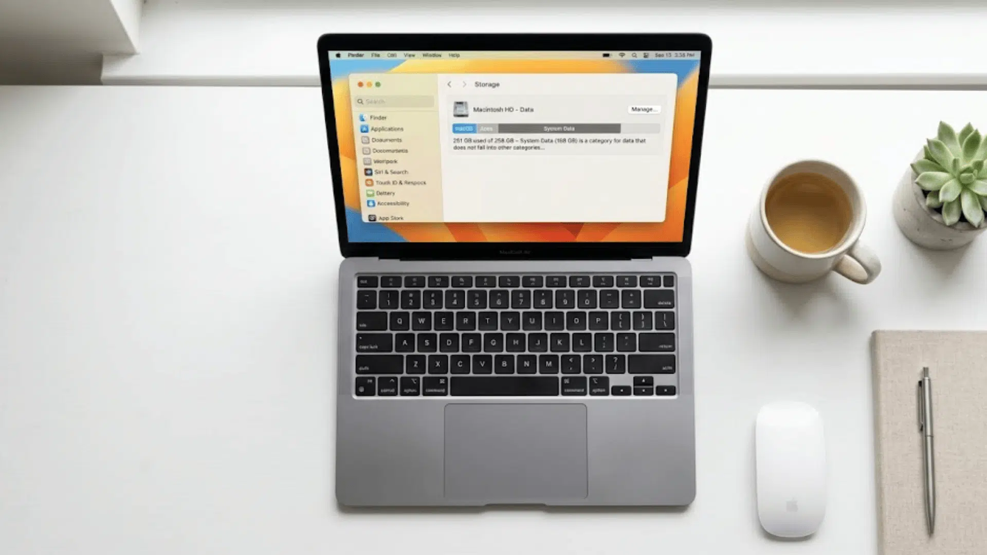 macbook showing system data taking up too much space on mac storage settings on a desk
