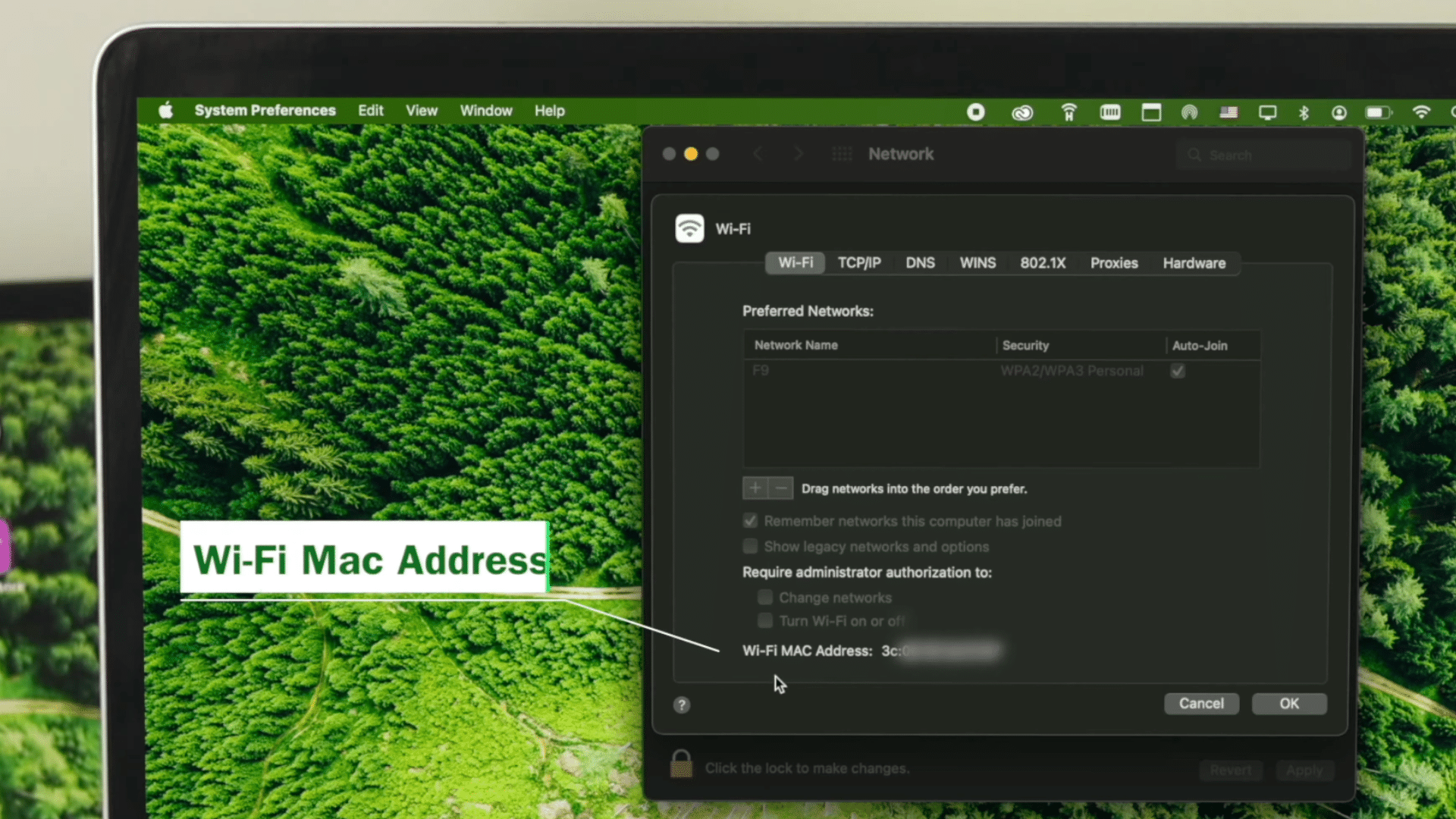 macbook wifi settings window displaying wifi mac address information with highlighted label over green forest wallpaper background