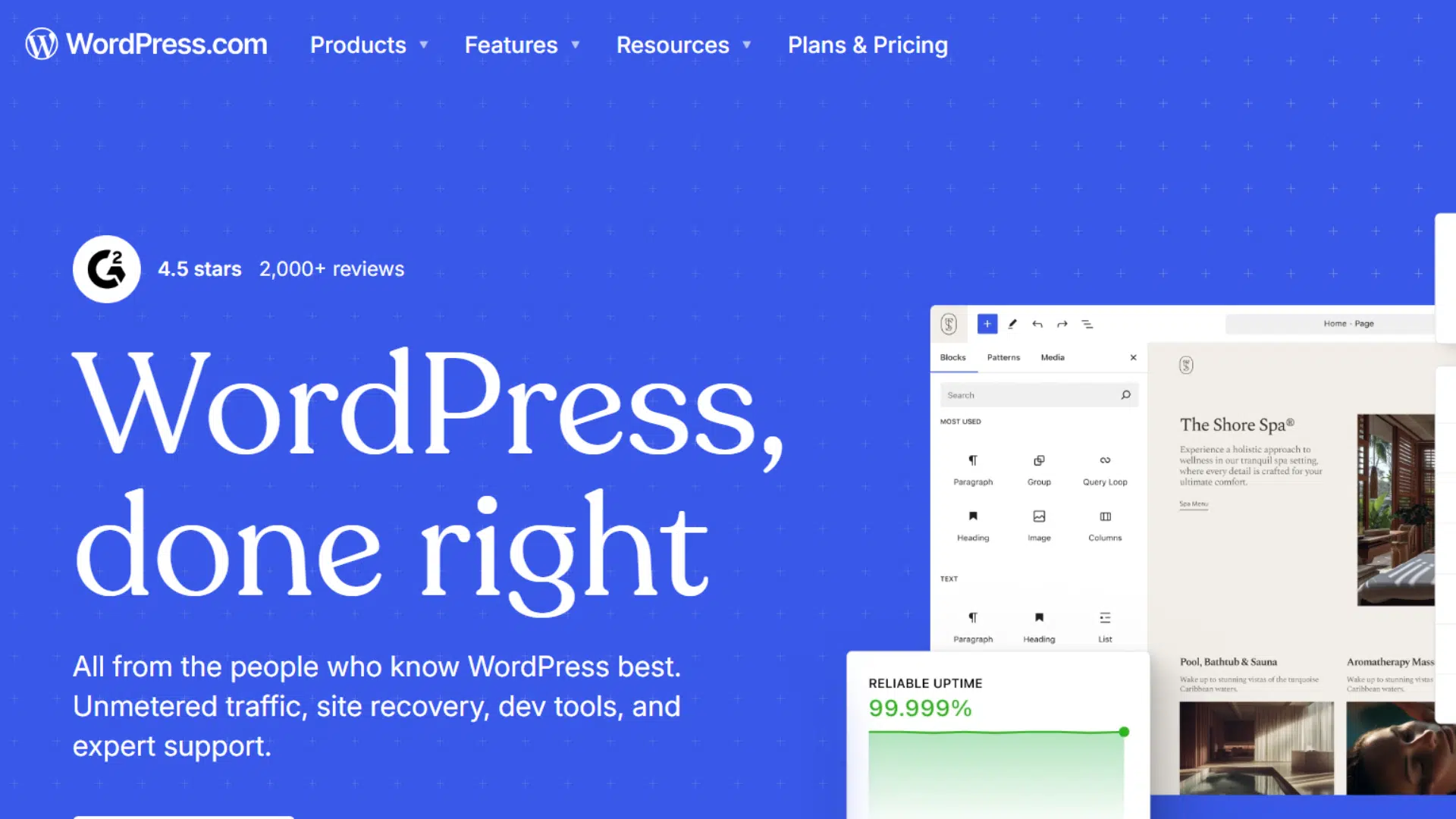 wordpress homepage with website editor panels showing backup status server tools and spa themed page design