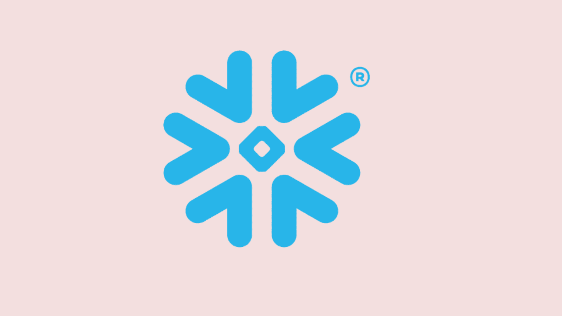 brand logo of snowflake