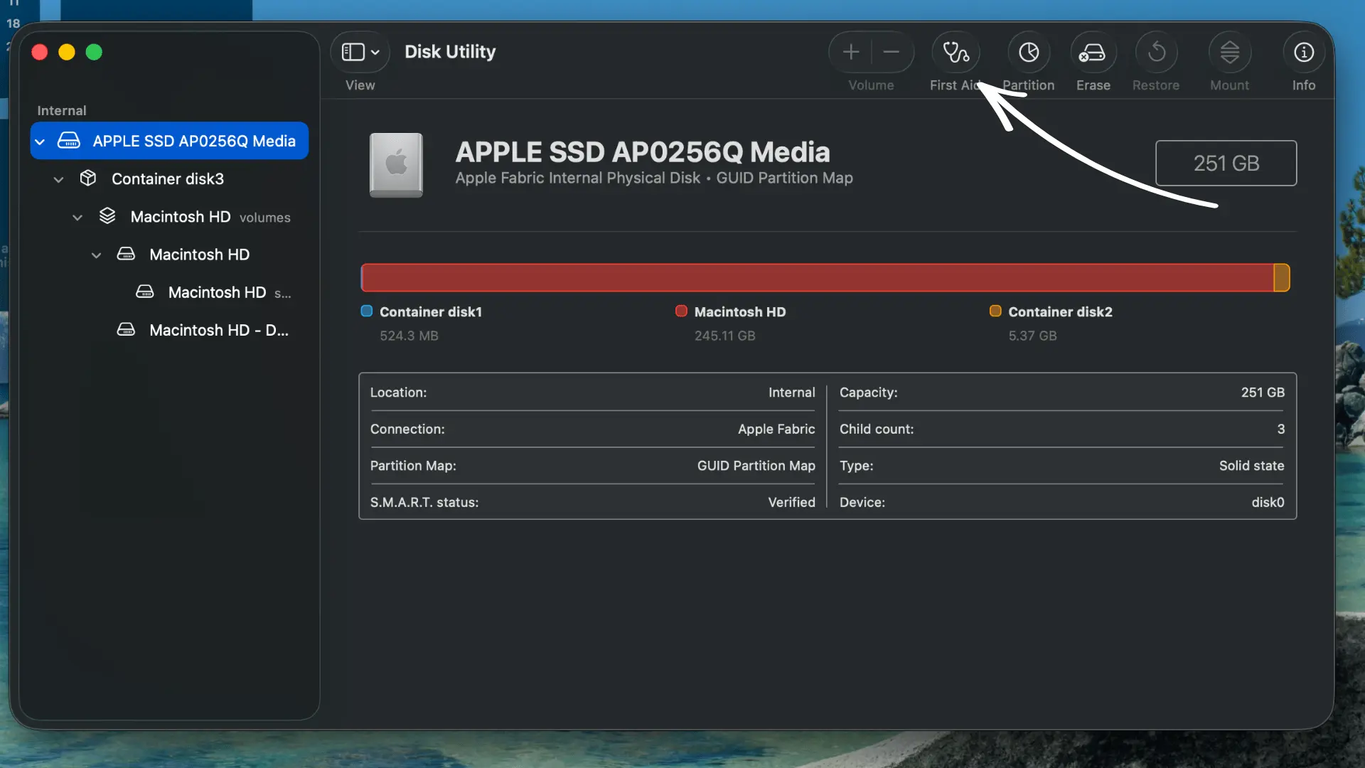 Mac Disk Utility screen with an arrow pointing toward the First Aid drive repair button.