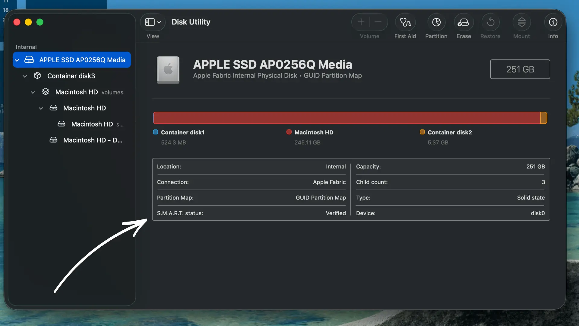 Mac Disk Utility showing an internal Apple SSD with its SMART status marked as verified.