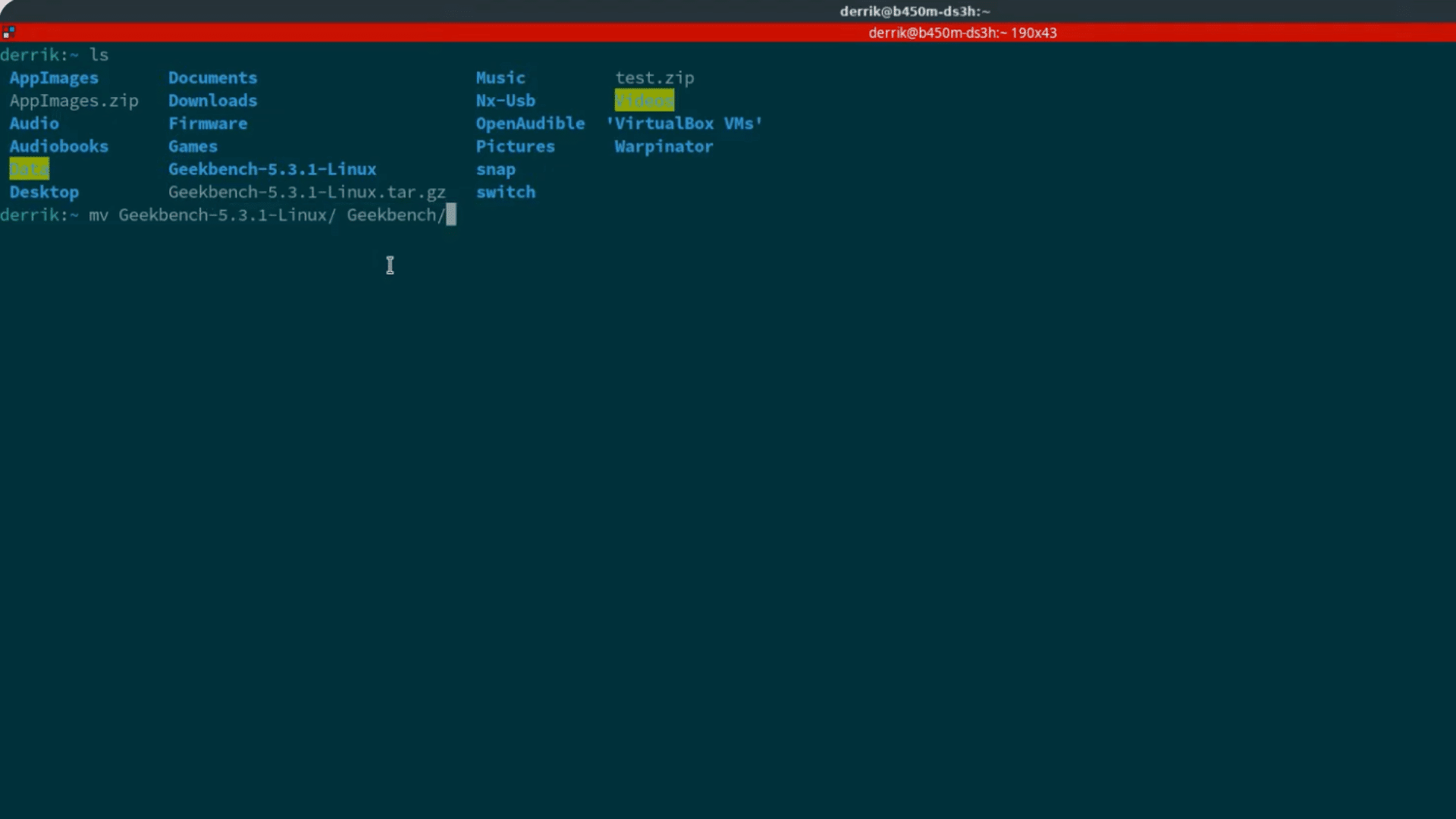 inux terminal showing home directory contents with mv command prepared to rename the geekbench folder in a full screen window (1)