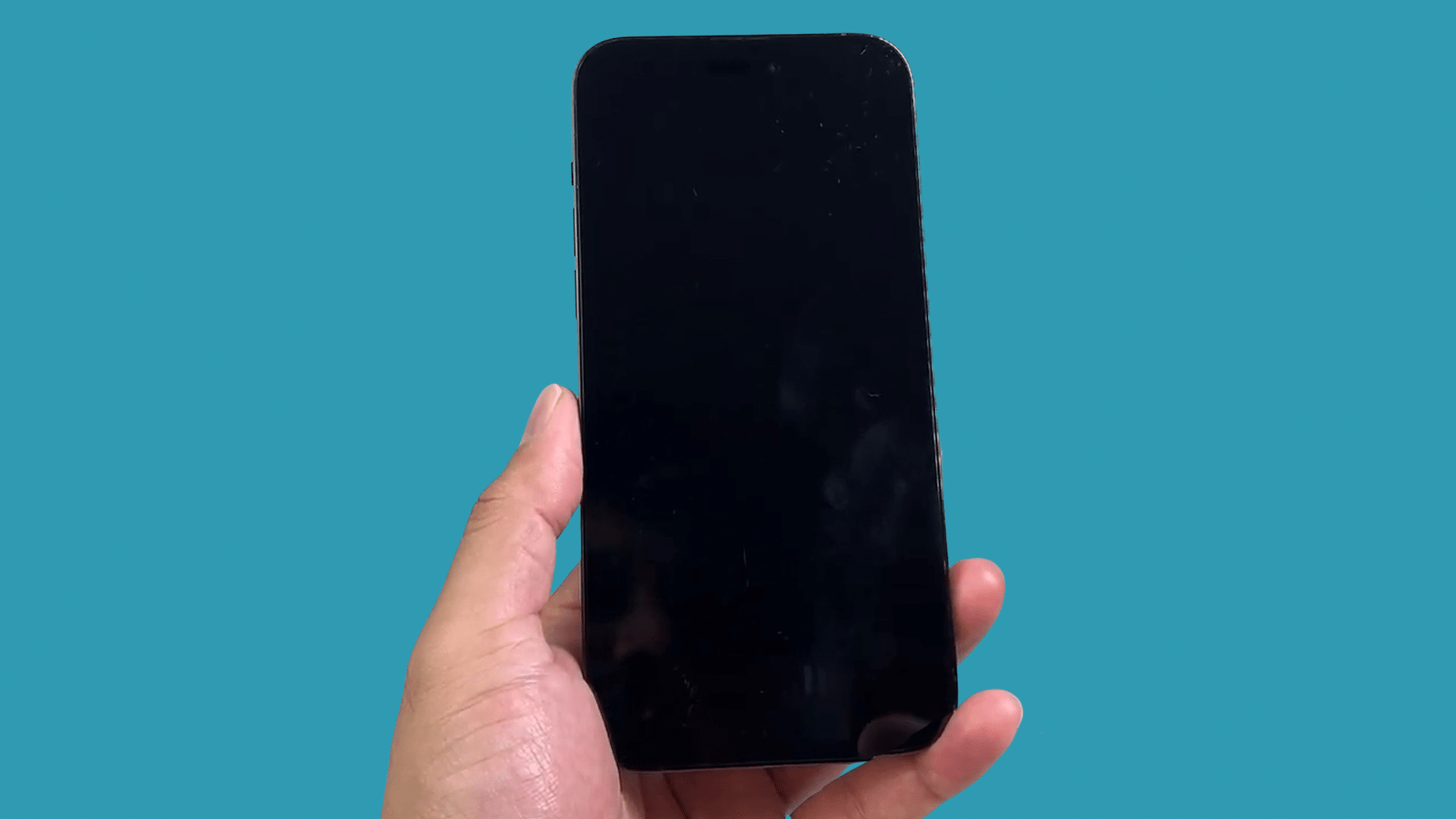 iphone screen turned black while restarting after reset action