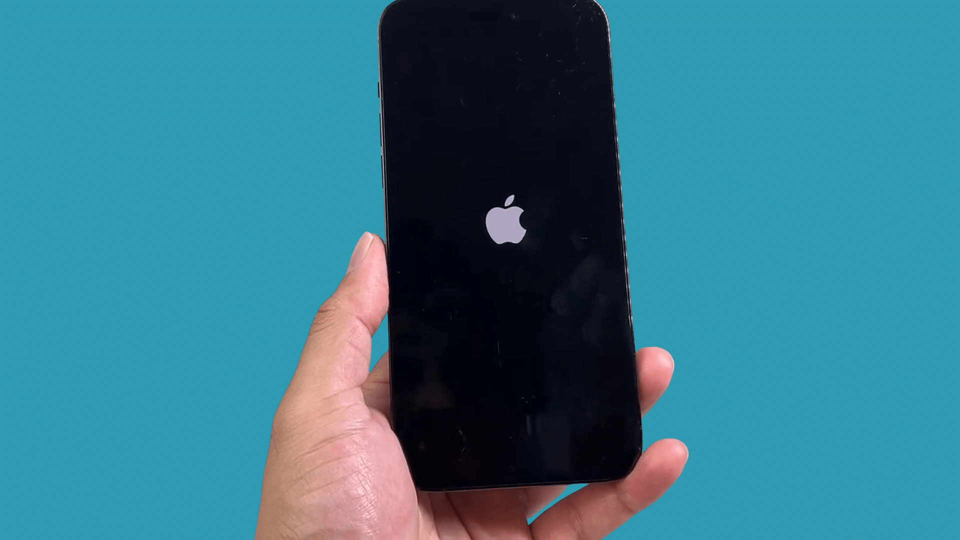 iphone showing apple logo during restart after initiating reset process