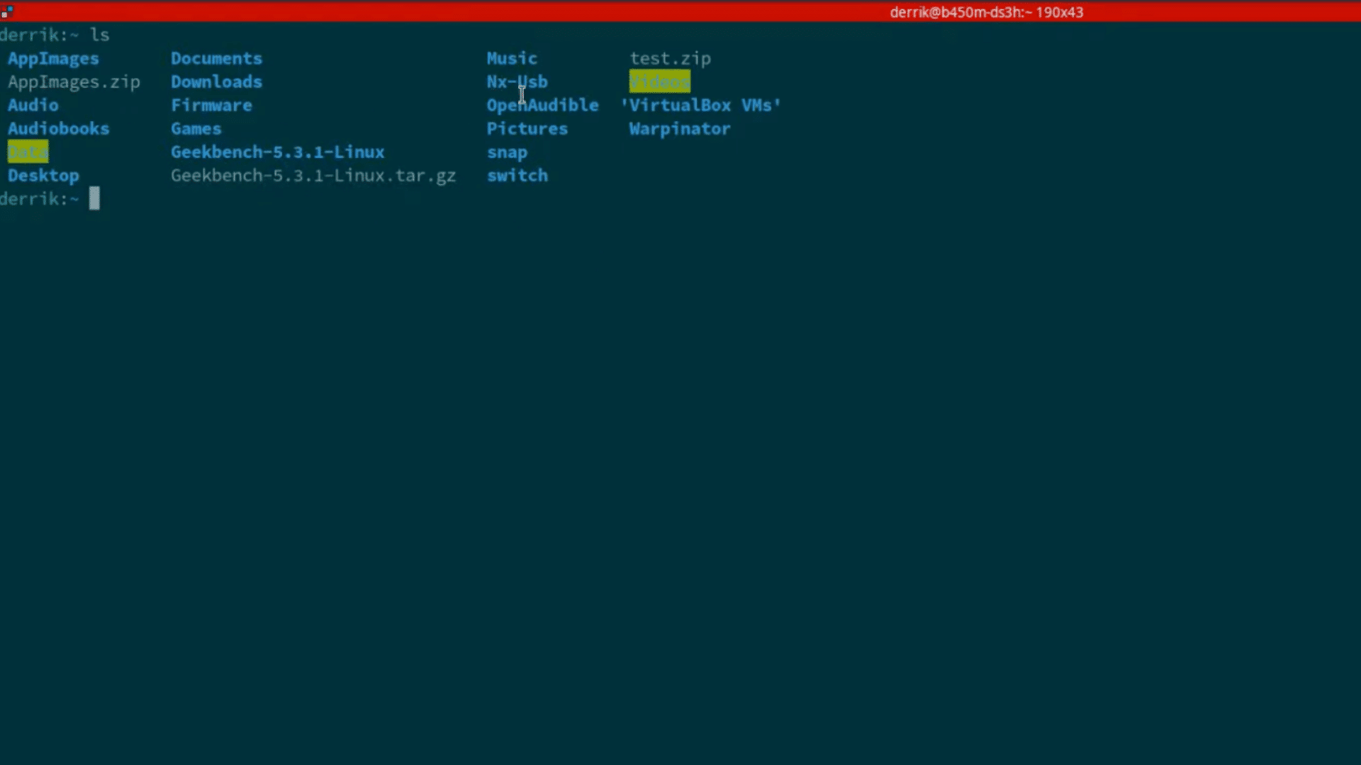 linux terminal displaying home directory folders and files after ls command in a full screen terminal window on desktop (1)