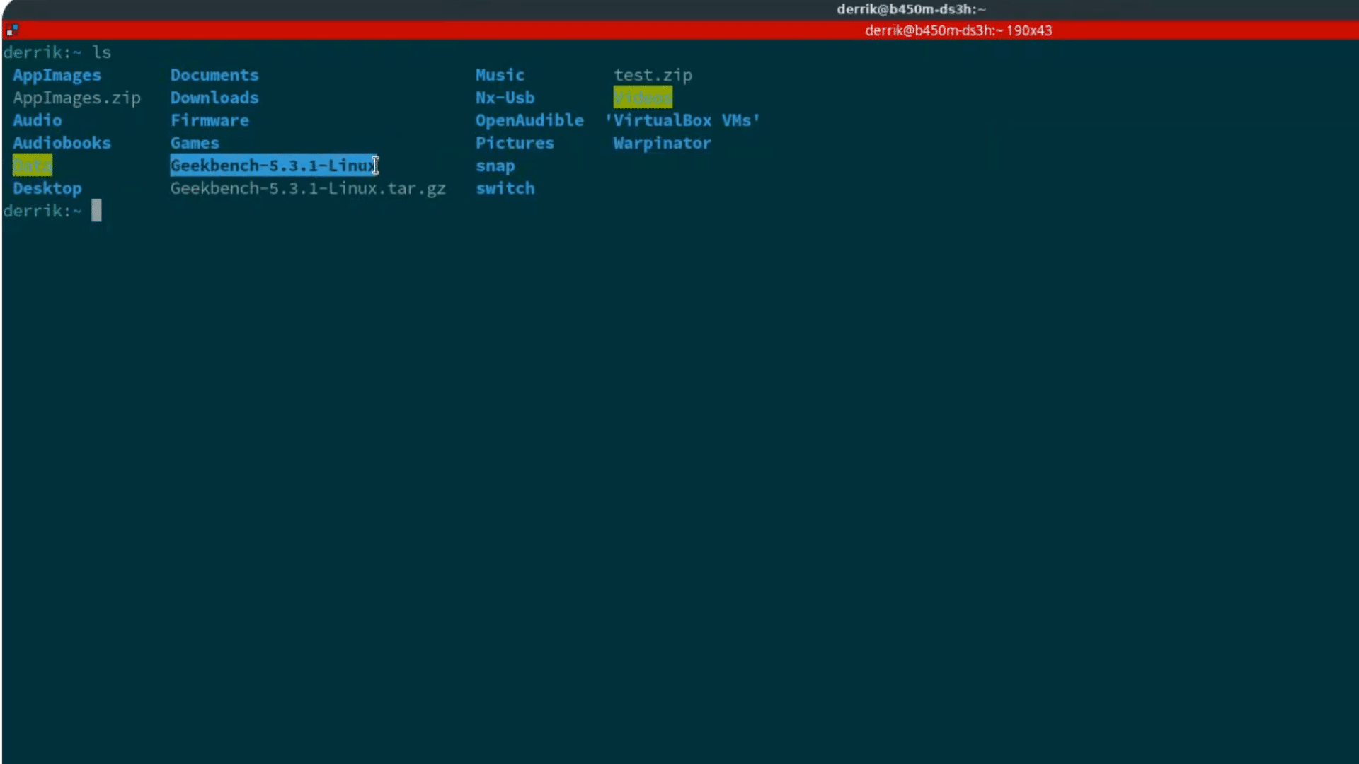 linux terminal showing home directory contents with geekbench archive file highlighted after running ls command in full screen mode