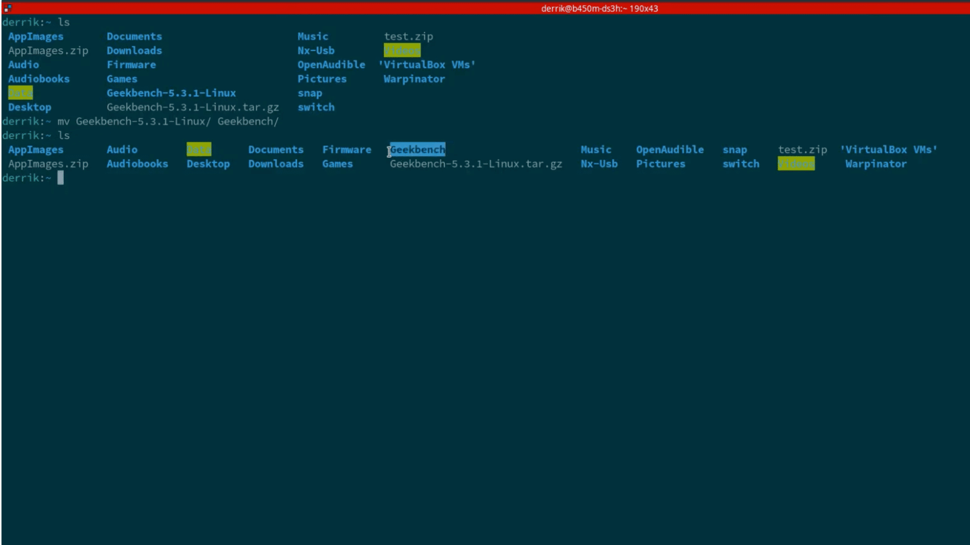 linux terminal showing mv command renaming the geekbench folder followed by ls output confirming the new folder name geekbench
