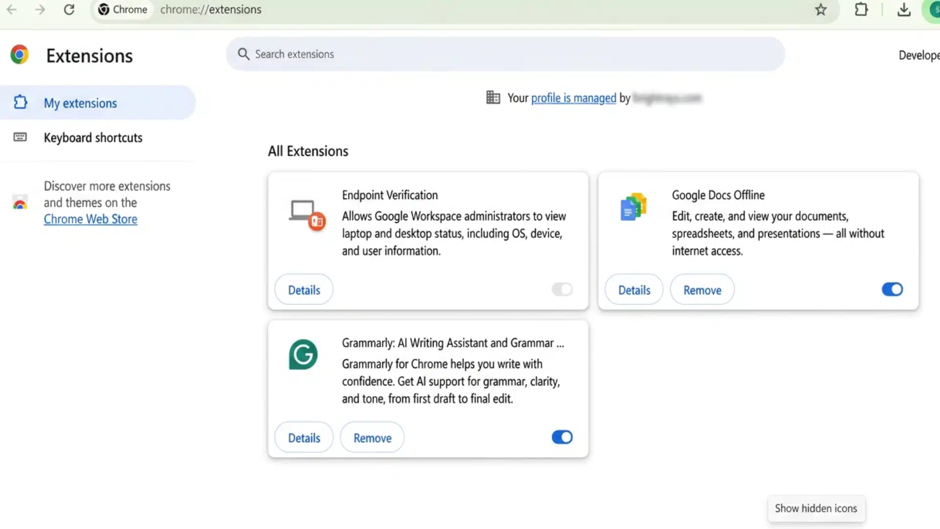 chrome extensions page listing endpoint verification google docs offline and grammarly extensions