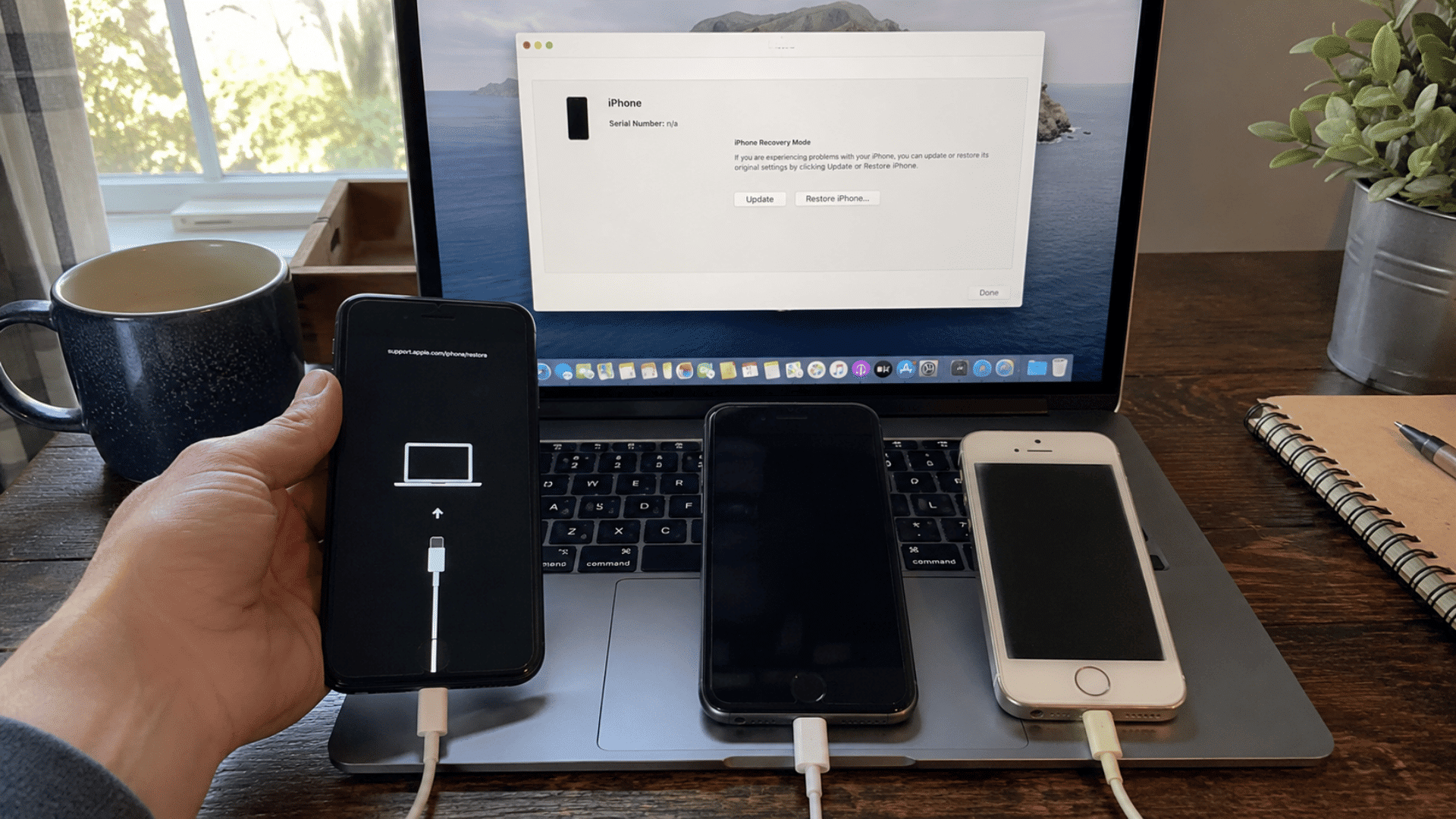 hand holding an iphone in recovery mode beside two older iphones and a laptop showing update and restore options