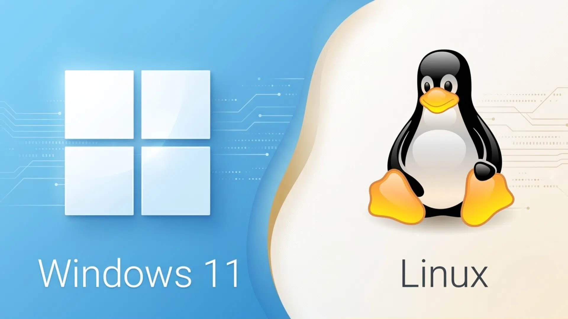 windows 11 logo beside linux tux logo representing a dual boot setup on one computer