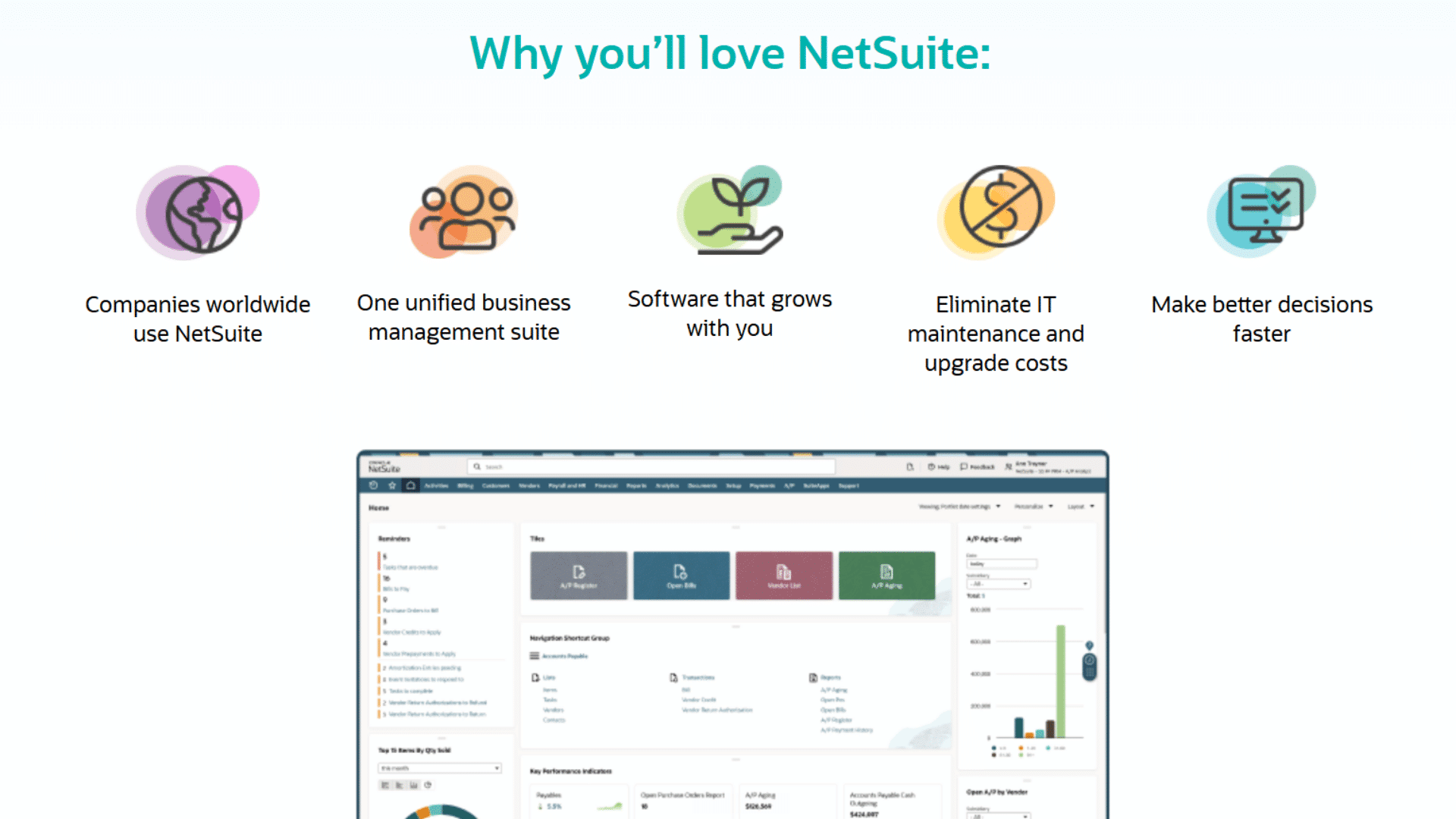 screenshot of website page of netsuite