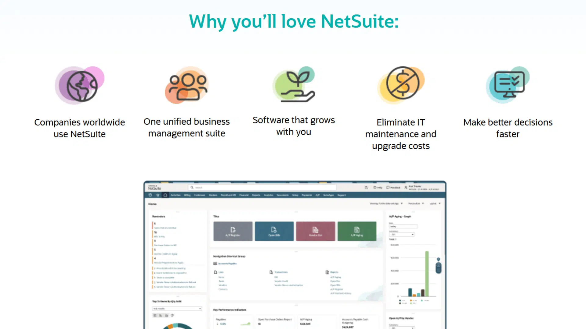 screenshot of website page of netsuite